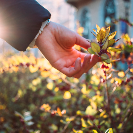 Ilustração de Santo Loyola